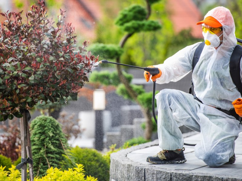 Ayvacık Haşere İlaçlama